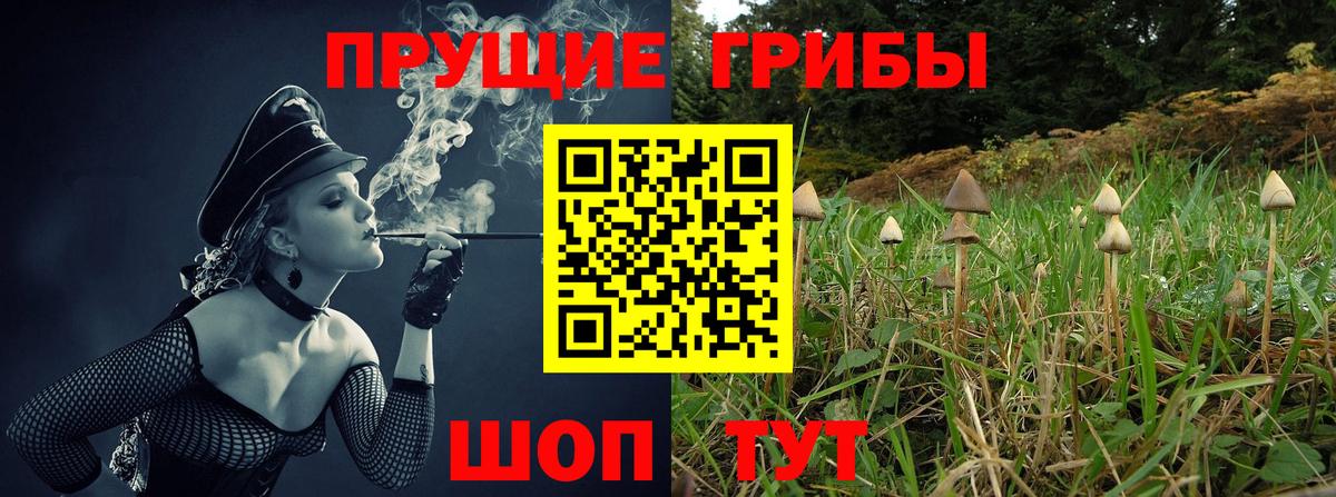 Псилоцибиновые грибы мицелий Учалы