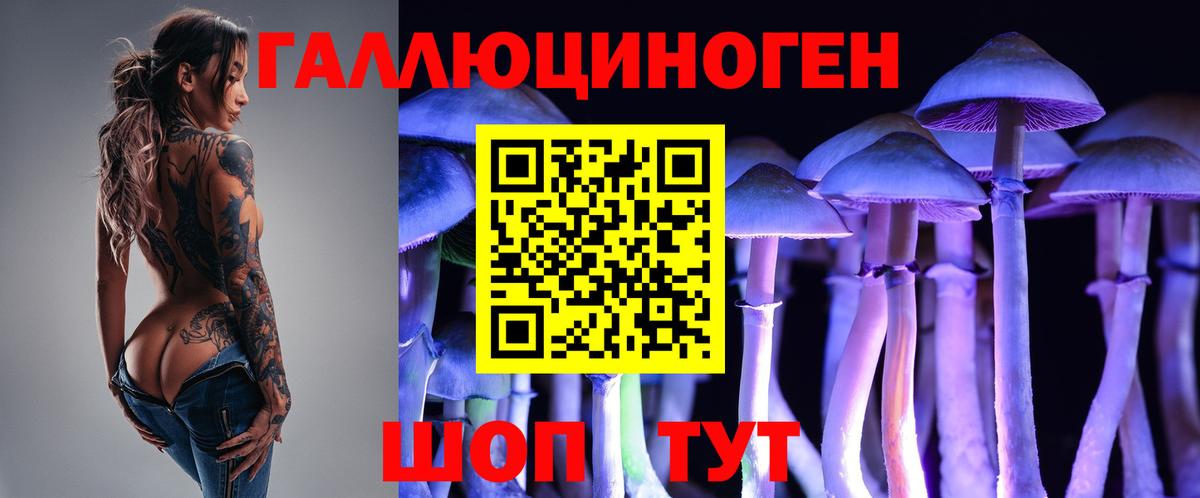 Псилоцибиновые грибы MAGIC MUSHROOMS  Вход с VPN  Учалы 